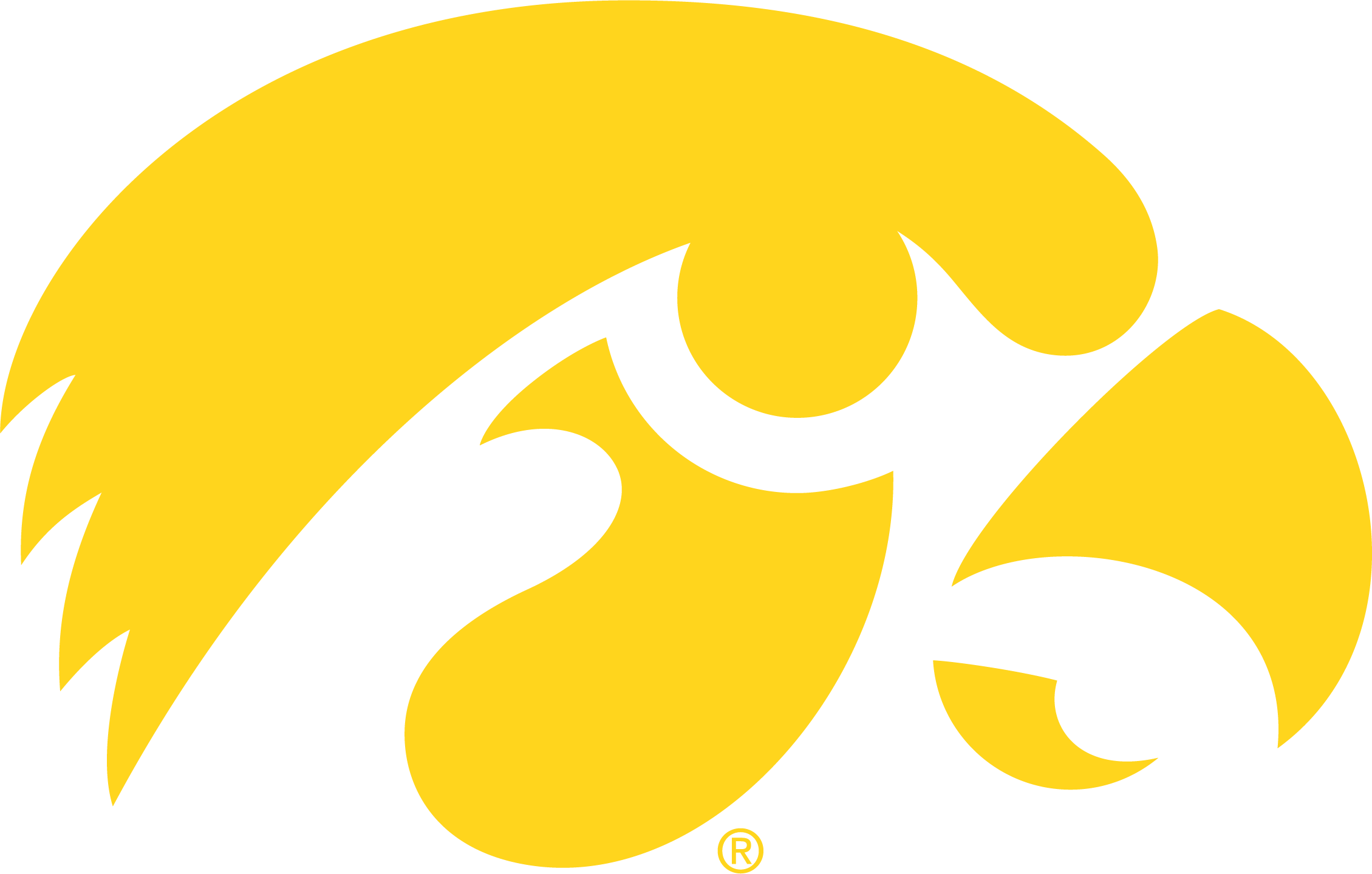 Iowa Logo