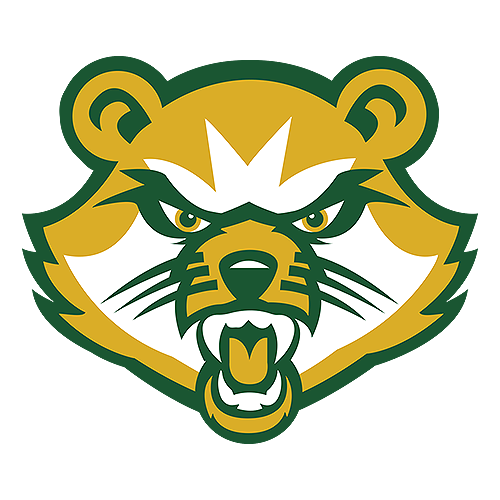 Saint Vincent Logo